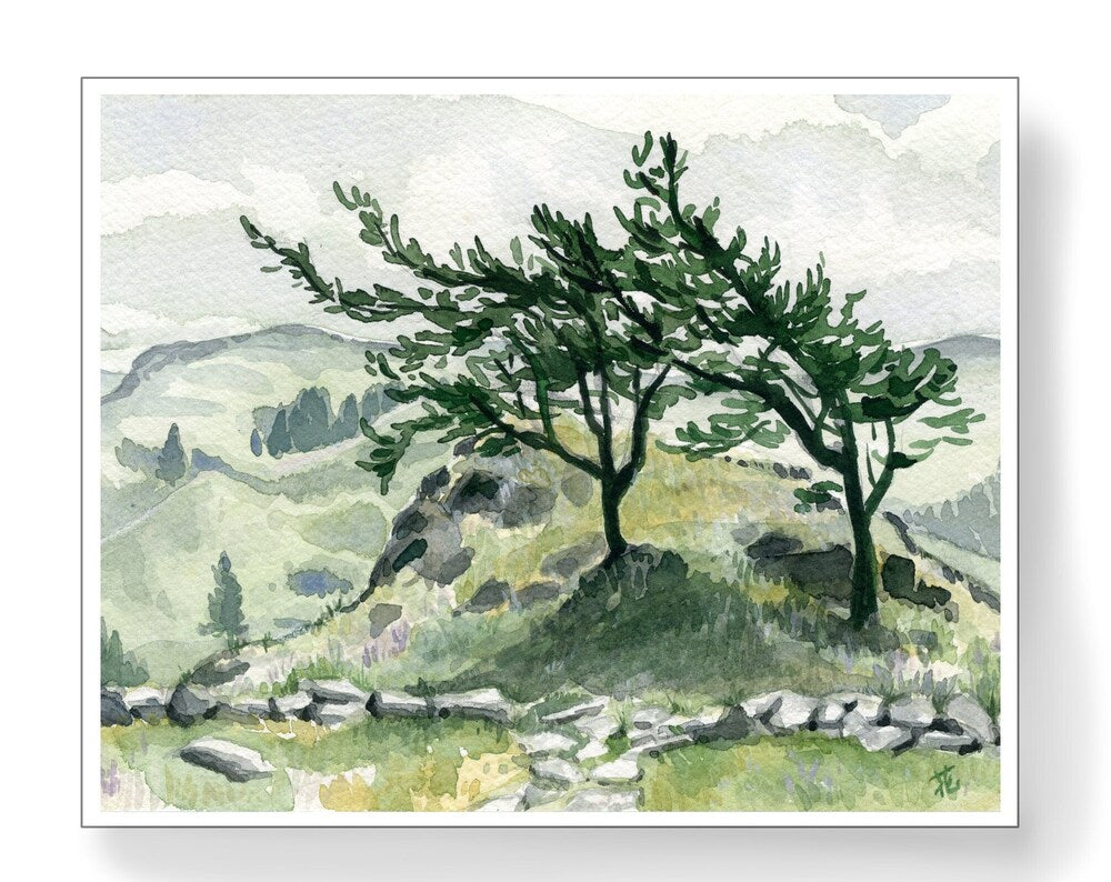 Spring in the countryside with wind blown trees