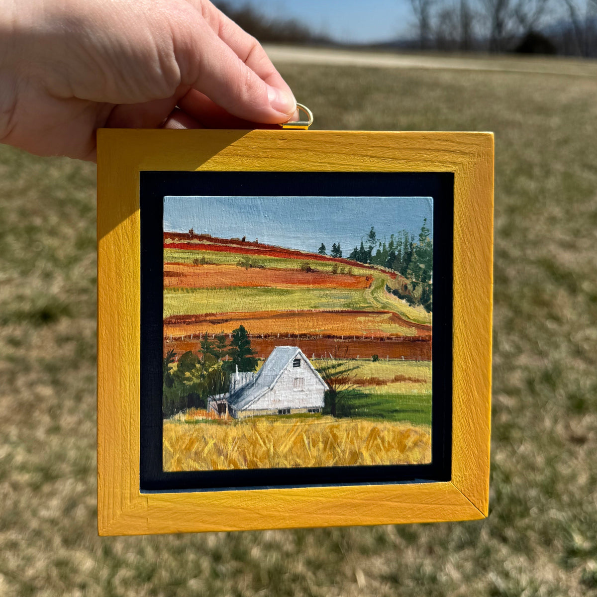 White Farm house at the End of Winter with Golden Fields and Evergreens