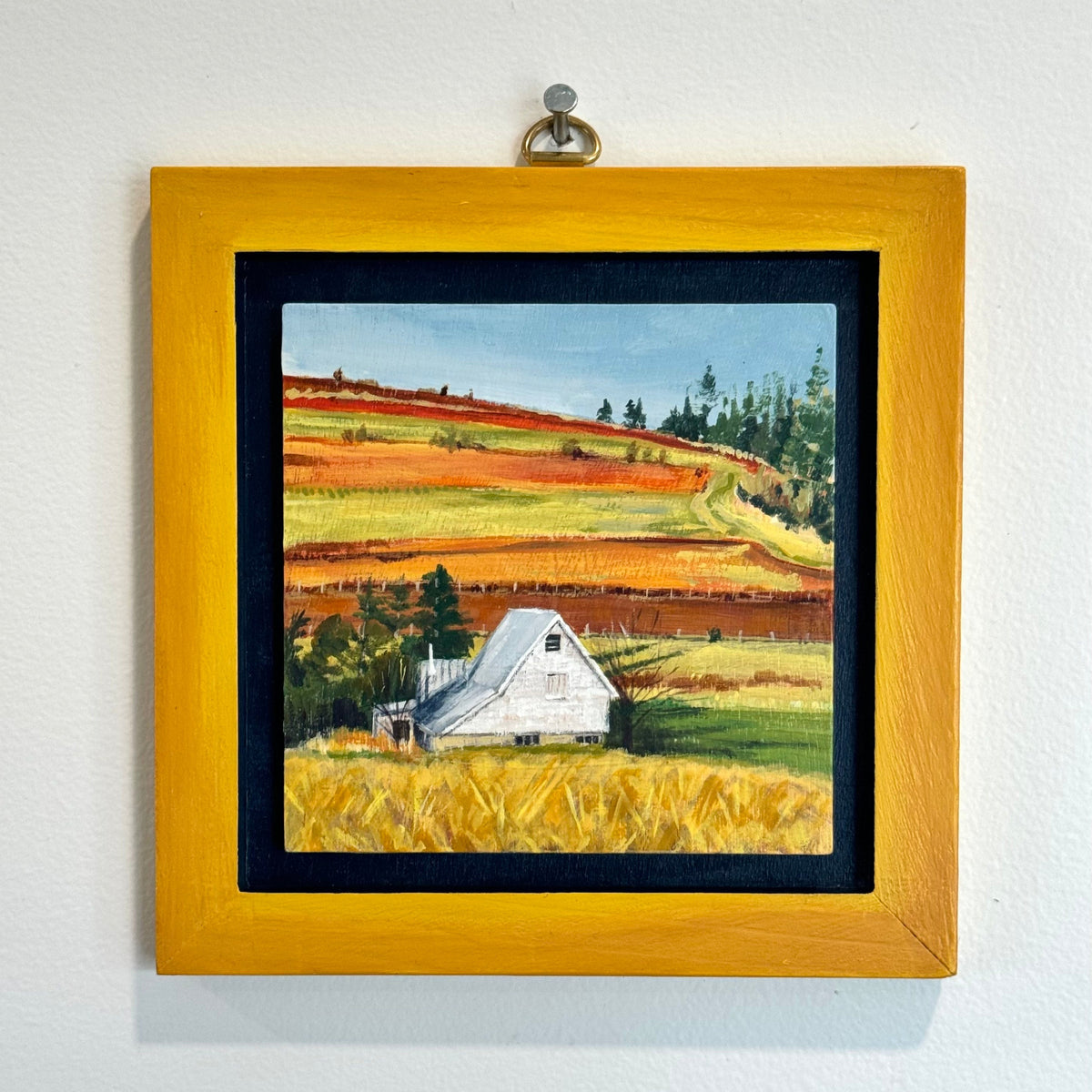 White Farm house at the End of Winter with Golden Fields and Evergreens