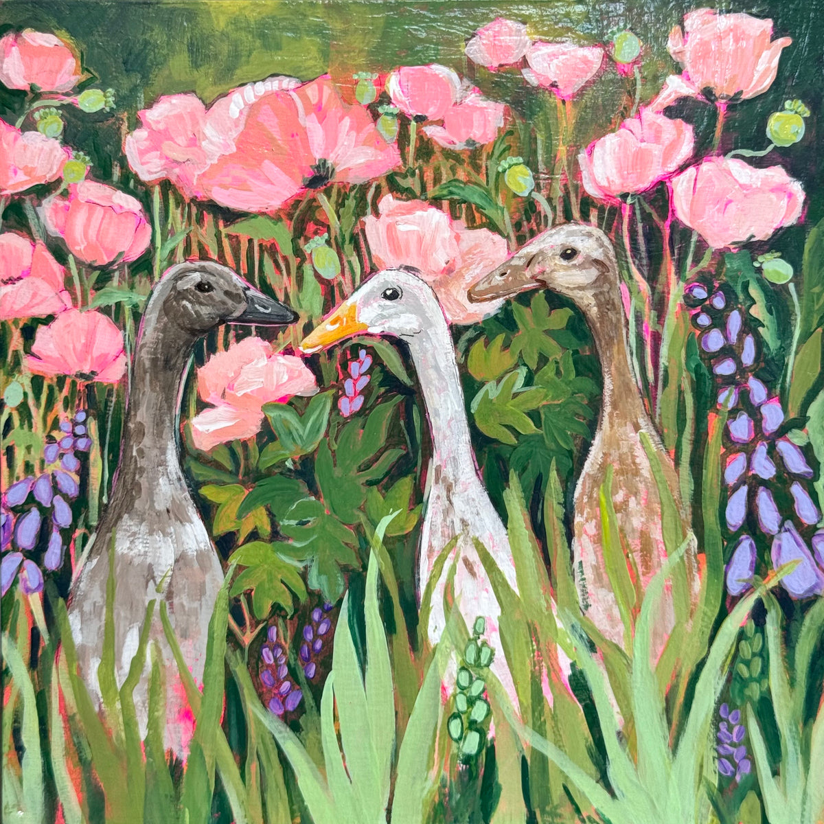Runner Ducks in Spring Flowers