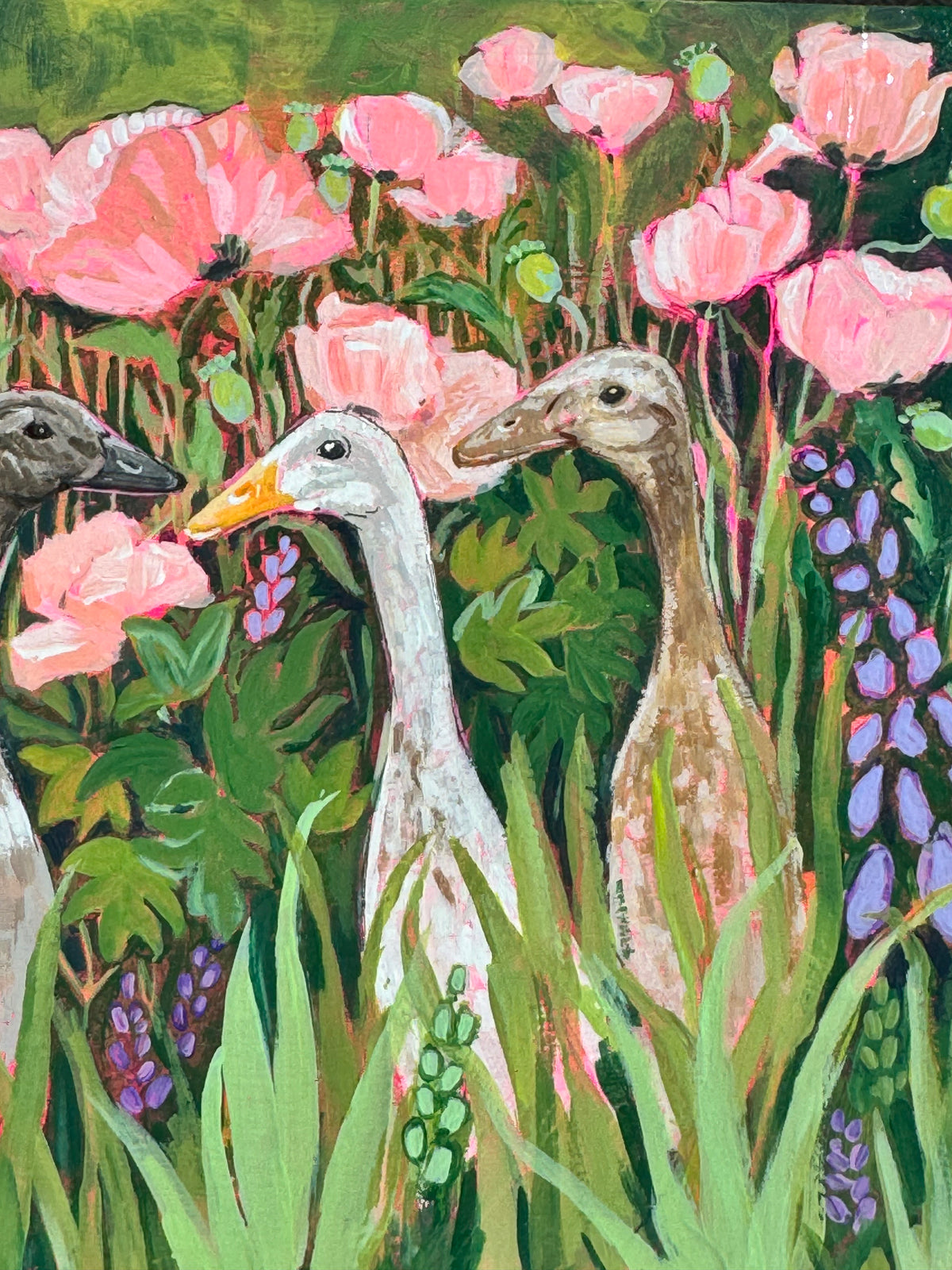 Runner Ducks in Spring Flowers
