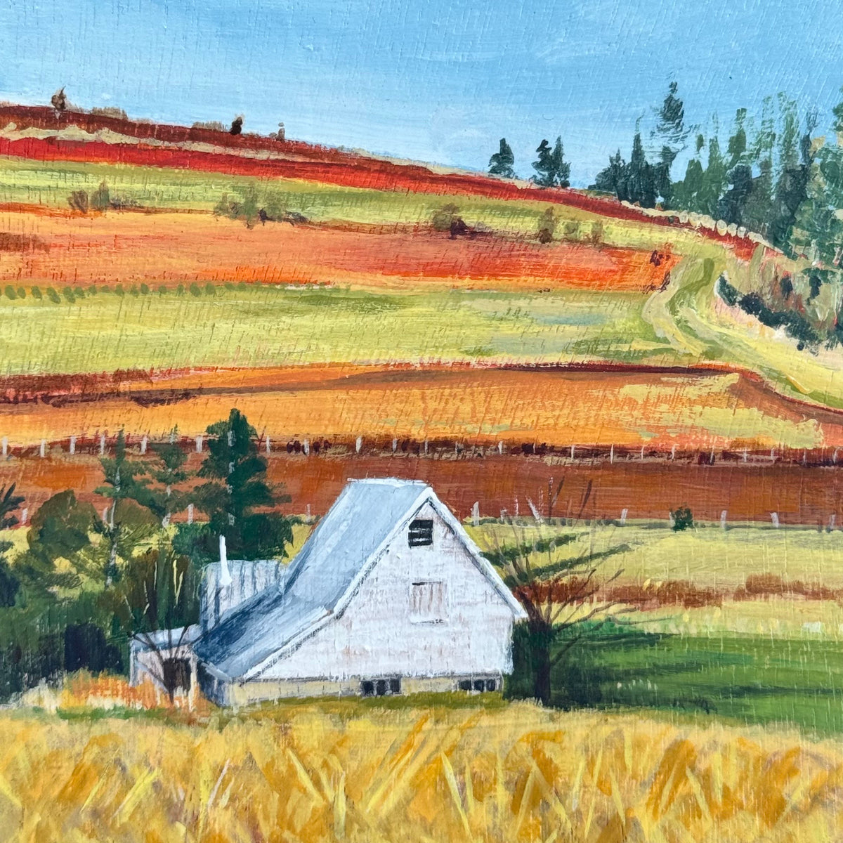 White Farm house at the End of Winter with Golden Fields and Evergreens