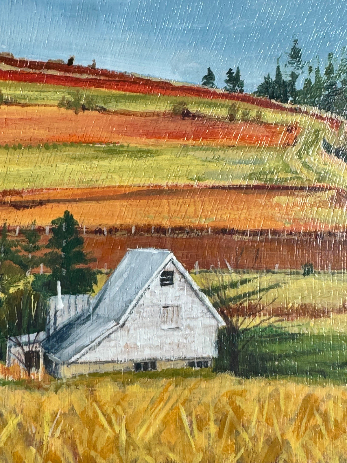White Farm house at the End of Winter with Golden Fields and Evergreens