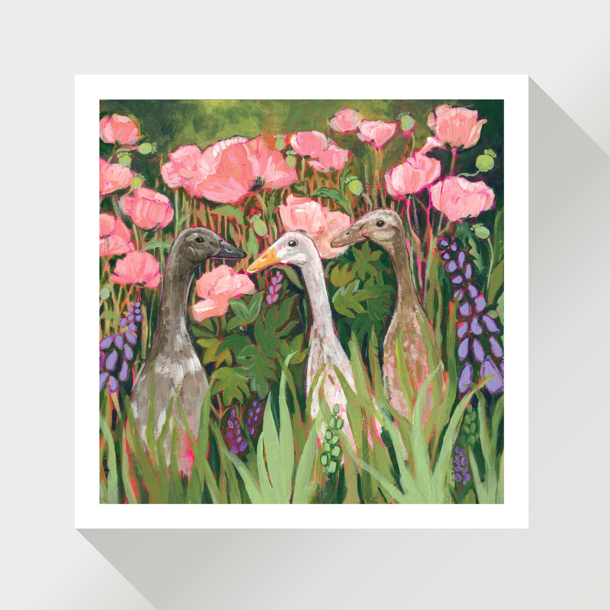 Runner Ducks in Spring Flowers