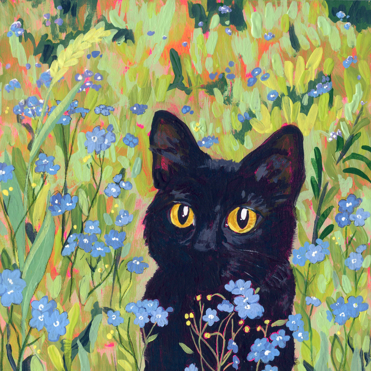 Black Cat in Forget-Me-Not Field