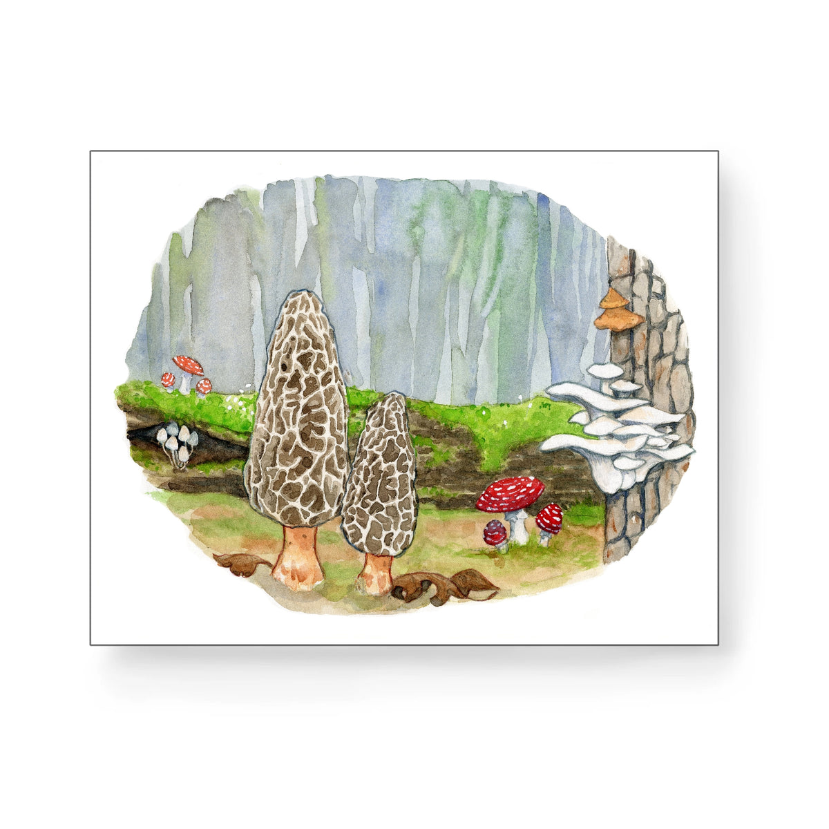 Morel, Toad stools, Red mushrooms Amanita muscaria  fly agaric watercolor painting print