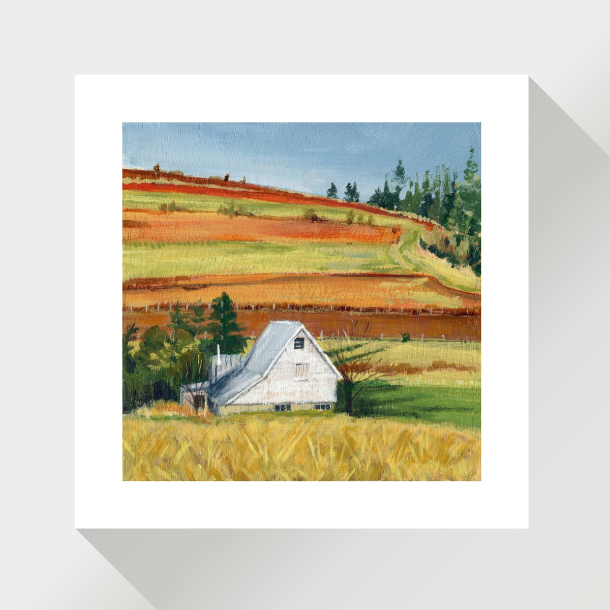 White Farm house at the End of Winter with Golden Fields and Evergreens