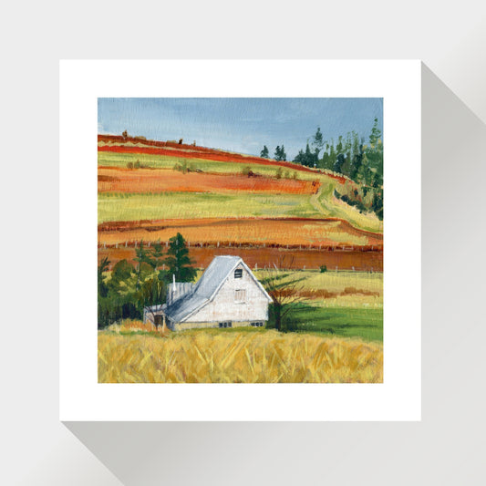 White Farm house at the End of Winter with Golden Fields and Evergreens